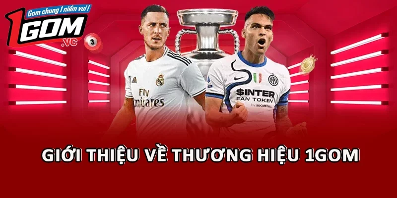 Giới thiệu tổng quan thông tin về 1GOM