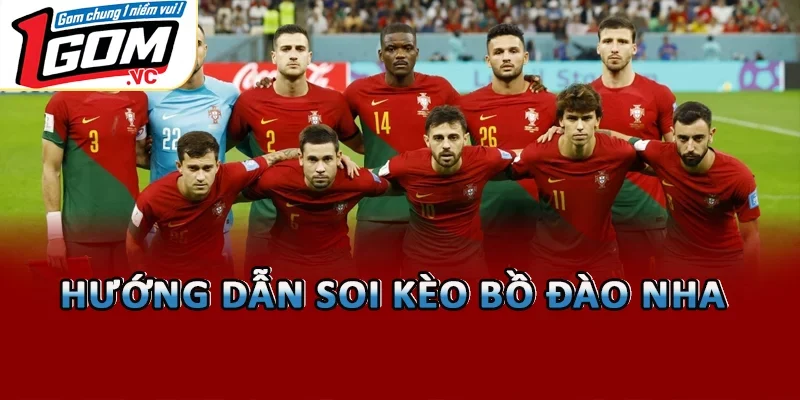 Hướng dẫn soi kèo Bồ Đào Nha